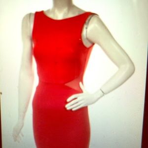 Zara Trafaluc Cocktail dress with Mesh detail